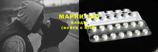 крисы Сатка