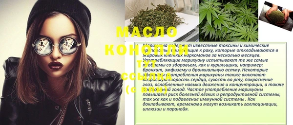 крисы Сатка