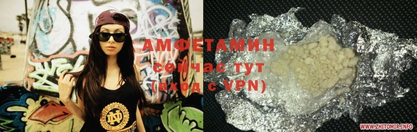крисы Сатка