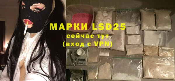 крисы Сатка