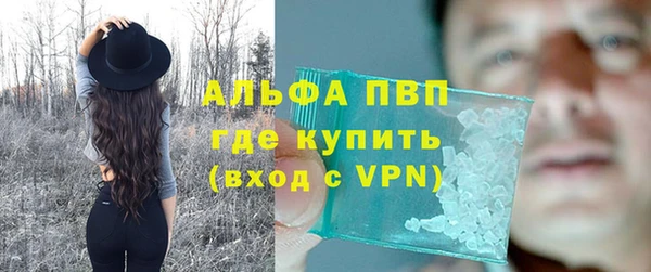 крисы Сатка
