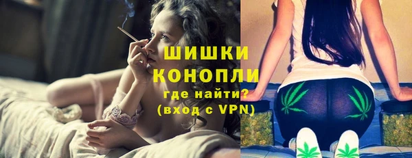 крисы Сатка