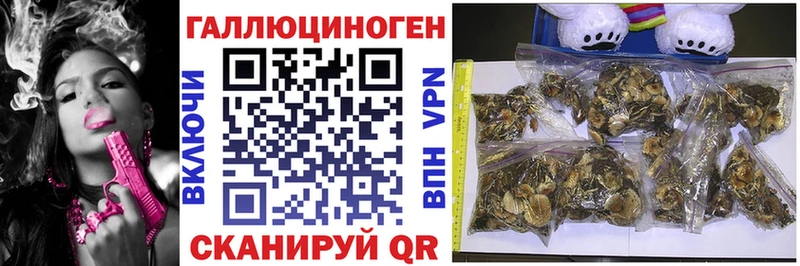 Галлюциногенные грибы мухоморы  Торжок 