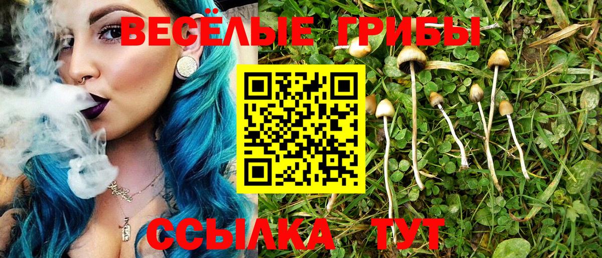 Торжок  Псилоцибиновые грибы мицелий  купить наркотик  Вход с VPN 