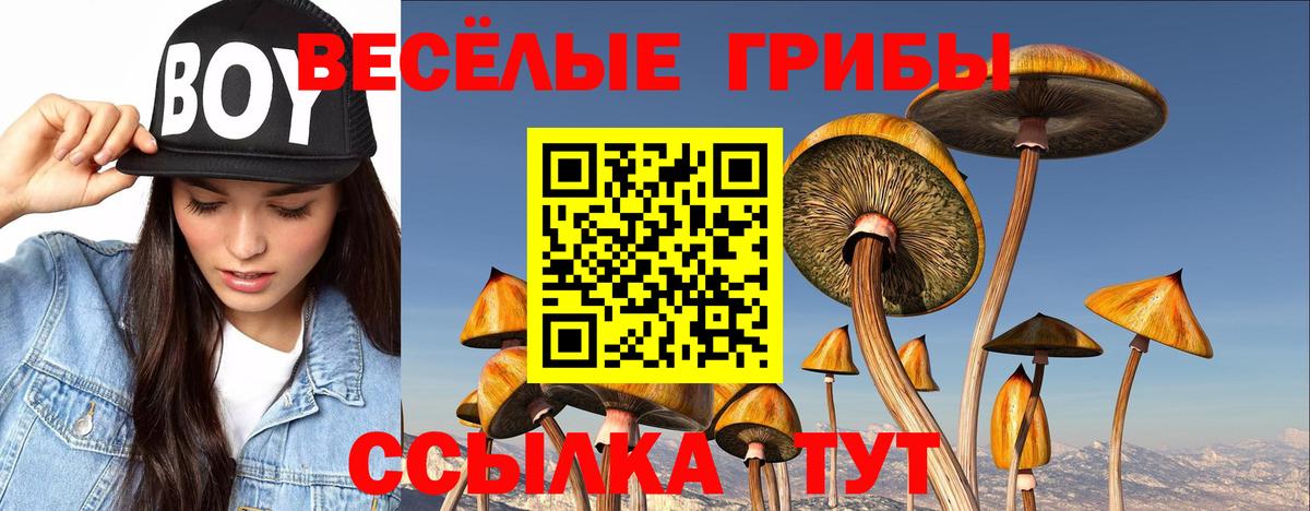 Галлюциногенные грибы Magic Shrooms Торжок